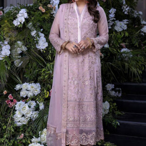 Full Embroidered Chiffon Back Chiffon Back with Embroidery Daman  Embroidered Dupatta with 2-Sided Pallu