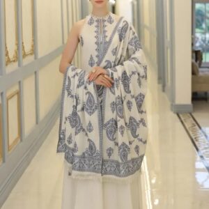 BAREEZE    D#378   WINTER COLLECTION 2027 💯PREMIUM DHANAK 🚨